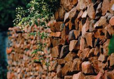 其他 2 Weitang · Yuerong Mountain Homestay