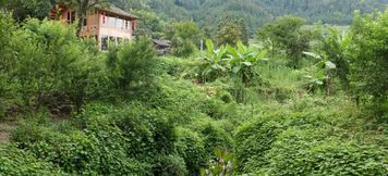 Lainnya 2 Laliang Dongzhai View Holiday Wild Luxury Township