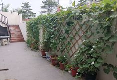 Others 2 Badaling Liuyun Xiaoshe Homestay