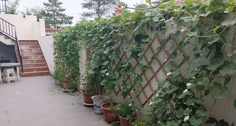 Others 2 Badaling Liuyun Xiaoshe Homestay