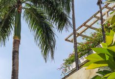 Others 3 Beautiful Villa Homestay (Dadonghai)