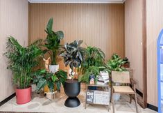 Others 5 Qiyueli Hotel (Nanning Nanhu Park Taoyuan Road)