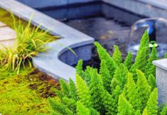 その他 4 Wuyishan Qipaoshan Homestay (Sangu Resort)