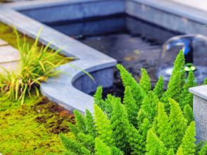 その他 4 Wuyishan Qipaoshan Homestay (Sangu Resort)