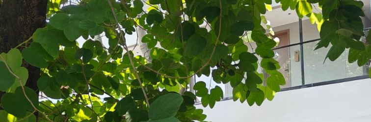 Lain-lain Yihao Xiangmo (Xiamen Zhongshan Road Bashi)