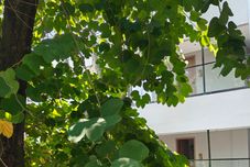 Lain-lain Yihao Xiangmo (Xiamen Zhongshan Road Bashi)