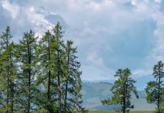 Others 7 INWARD PEAK·Heting Shanying ValleVive Holiday Homestay (Hemu Old Village Store)