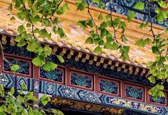 其他 4 Putuo MountainQingxingZizai Homestay(PujiTempleBranch)