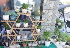 Others 6 Haomeng Homestay (Songlan Mountain Scenic Area)