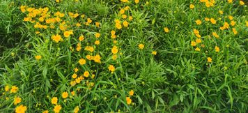 Others 3 Huantai Luoman Hotel