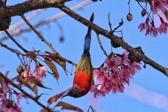 Lainnya 4 Nanjian Changshi Inn Accommodation