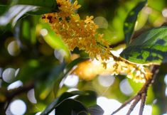 Others 5 Wanqing Zhenyuan Hotel