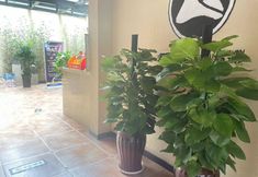 Lain-lain 3 Linquan Aurora E-Sports Hotel