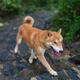 Hotel Exterior 1 Wangjia Courtyard ที่เชิงเขา Great Wall, โรงแรม & ที่พัก Simatai Great Wall Tourist Area