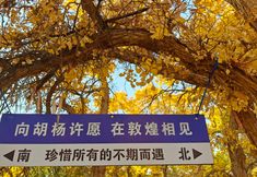 その他 6 Dunhuang Zhenyue ● Jinman International Hotel (Shazhou Night Market)