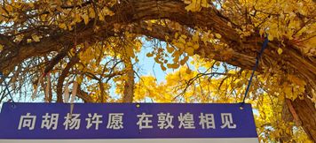 Others 4 Dunhuang Yuedun Hotel (Shazhou Night Market)