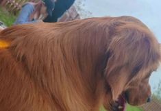 อื่นๆ 5 Bo'er Hotel (Xuwen Station)