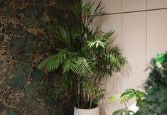 Others 5 Fenghuang Deya Yueju Hotel