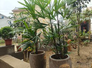 其他 4 Sanhao Homestay