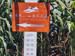 其他 4 Sukyo: A Secluded Mountain Onsen Yado