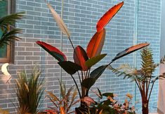 Lainnya 3 Yujing Hotel (Luoyang Guanlin Temple High-speed Railway Station)