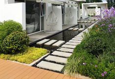 Lain-lain 6 SUDDEN SIGHT