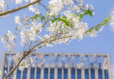 기타 5 Gloria Grand Hotel