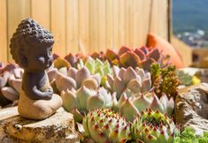 其他 7 Qianxiang Lanshan hotel