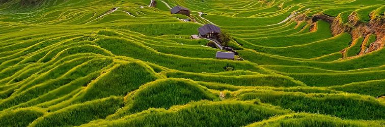 Others Yunhe Terraced Fields Yijie Homestay