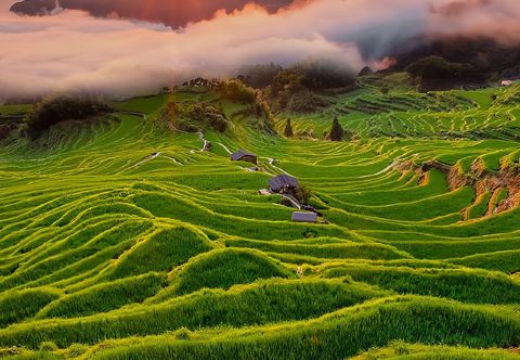 Others Yunhe Terraced Fields Yijie Homestay