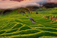 Others Yunhe Terraced Fields Yijie Homestay