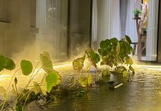 Lain-lain 6 H&H Boutique Homestay