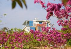 Others 5 SIX SEASONS OF LIFE