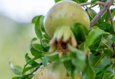 その他 7 JieLu B&B