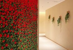 Others 7 LUOYANY TIME STORY B&B