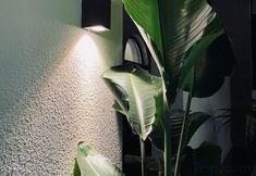 Others 6 Dali Nashan·Xiaoyuan (Shuanglang)