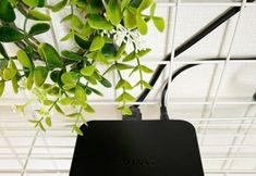 Others 2 Guest House SAKURAYA