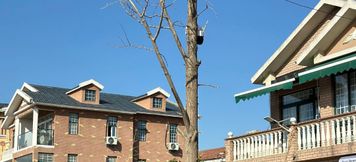 Others 3 Xuzhou Hudongjing Holiday Boutique Stay