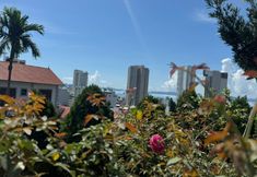 Others 6 Sea & Mountain by Kim