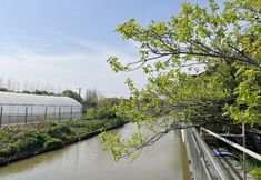 Others 4 Shanghai Wuqi Xiaozhu Homestay