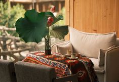 Others 7 Jia & Tong's Homestay