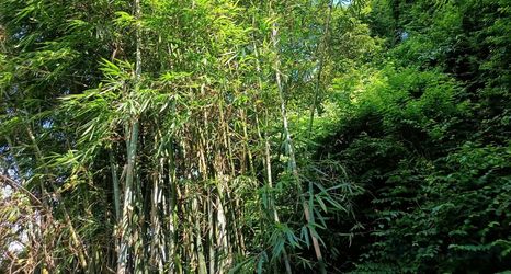 Lain-lain 2 Yuelai Hostel