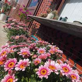 Hotel Exterior 1 Quanzhou Yujian Qiaonan Homestay, 华侨大学 酒店