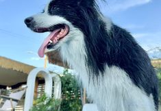 Others 6 Left bank•la vie Pool Resort