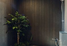 Others 6 JS xiaozhai・mizuun