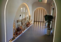 기타 7 Ale Mount Taishan Home stay