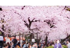 Lain-lain 5 Japanese Room and Living Room in Tokyo Downtown House
