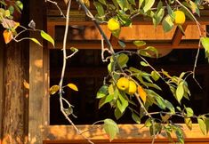 Others 6 CHILL HOTEL