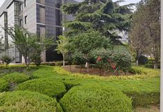 อื่นๆ 7 Anyan VIP Building Hotel