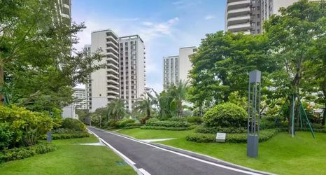 其他 2 Huayue Meisu (Coconut Dream Corridor Airport Store)